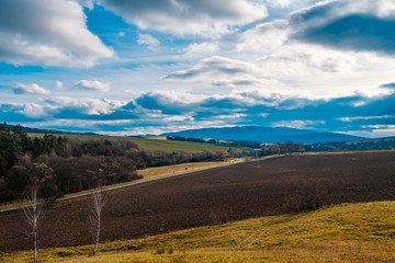 Fototapeta premium trees on a field in autumn nature landscape