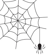 Obraz premium Black spider on spider's web isolated on white background. Halloween symbol. Vector illustration.