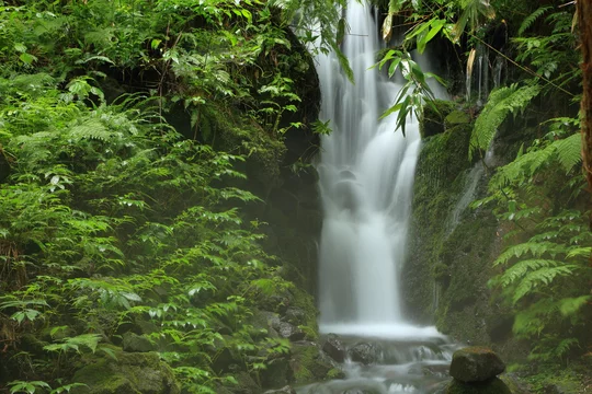 胴腹滝 どうはらたき 山形県遊佐町 Doharataki Mountain Spring Water Yuzamachi Yamagata Japan Stock 写真 Adobe Stock