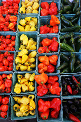 Vegetable on a green market in November