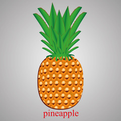 Water spray mist of atomizer.Vector cosmetic effect illustration