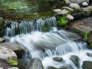 Fern Spring Yosemite Valley