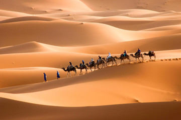 Camel caravan to right - obrazy, fototapety, plakaty