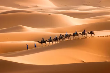 Zelfklevend Fotobehang Camel caravan to right © Bert