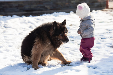 Girl meets a dog on winter walk