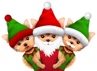 Funny Dog Santa and Elf. Christmas concept