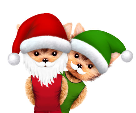 Funny Dog Santa and Elf. Christmas concept