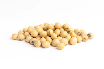 Group soybean on cup isolated  top view