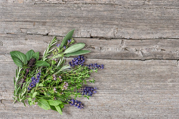 Bundle fresh herbs Basil rosemary mint sage thyme oregano