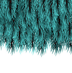 Realistic Merry Christmas branch blue pine tree template. Isolated fir banner background. Happy new Year poster frame decoration. Festive greeting border. Xmas mock up vector illustration. 