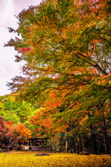 秋・古刹、渓谷