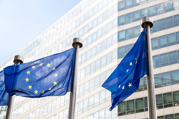 European flags  in Brussels