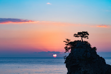 花寿波の初日の出
