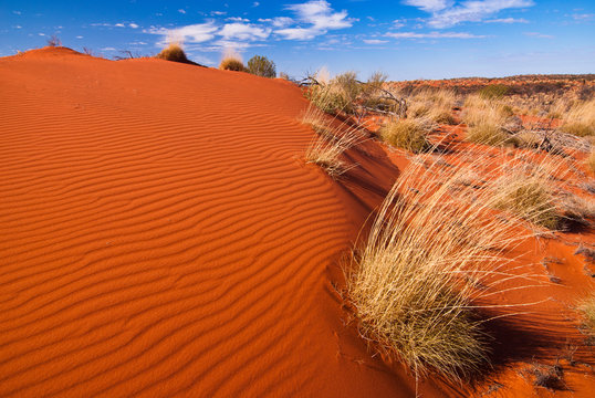 Red sand dunes and desert vegetation in central Australia