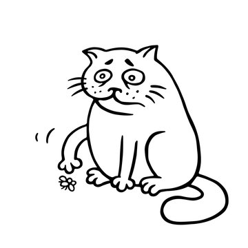 Cat sits and grimly pushes the dead fly. Vector Illustration.