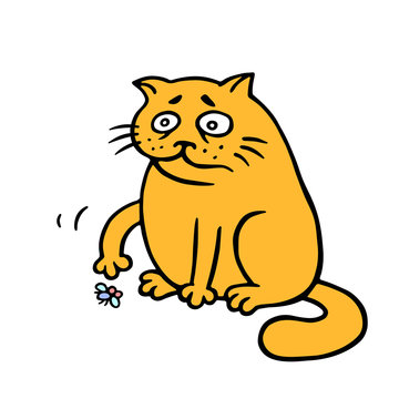 Orange fat cat is lonely. A dead fly on the floor. Vector Illustration.