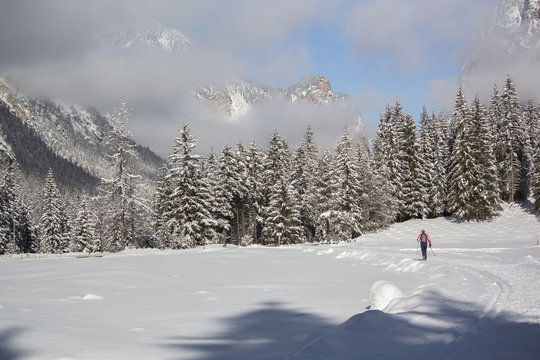 Cross country skiing in the Landro valley,  Dobbiaco Cortina trail, Dolomites, Italy