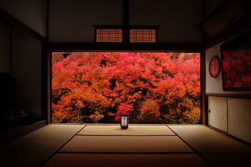 ドウダンツツジのある風景