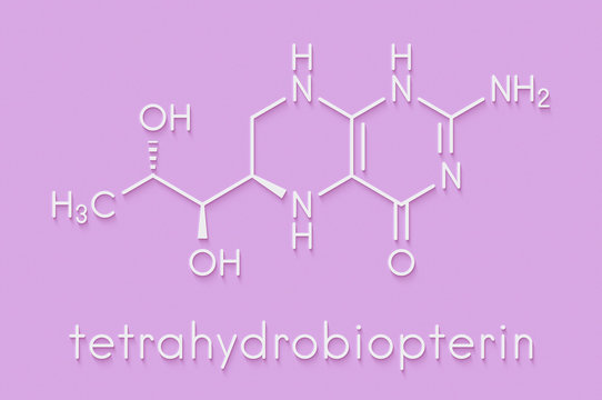 Tetrahydrobiopterin (sapropterin) phenylketonuria drug molecule. Cofactor to a number of aromatic amino acid hydroxylase enzymes. Skeletal formula.