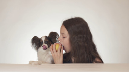 Beautiful teen girl and dog Continental Toy Spaniel Papillon eating tasty fresh red apple on white background