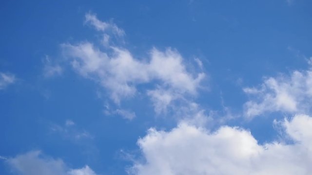 青空とゆっくり流れる綿雲/速度ノーマル 