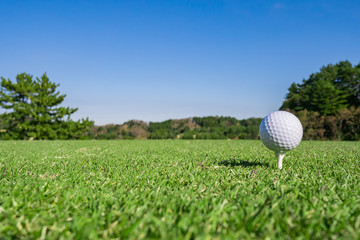 Golf Course where the turf is beautiful and Golf Ball on tee. Golf is a sport to play on the turf