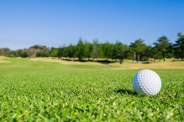 Golf Course with Golf Ball on fairway field. Golf is a sport to play on the turf	