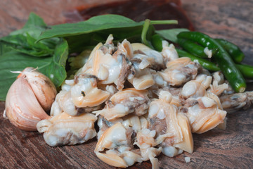 Fresh cockle From the sea of Thailand and Basil Leaves Before cooking
