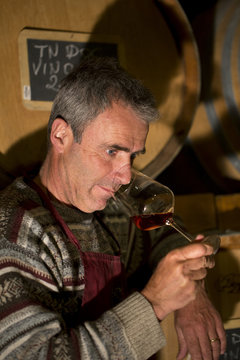 Stefano Pisoni the owners of Cantina Pisoni cellar tasting red wine, Valle dei Laghi, Trentino Alto Adige, Italy