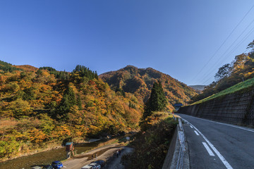 秋の清津川の風景