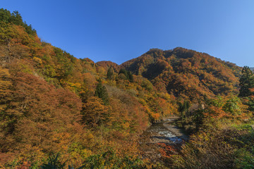 秋の清津川の風景