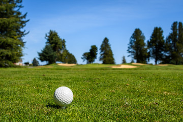 Golf ball and tee on the tee box with the green, sand traps, trees and sky in the background
