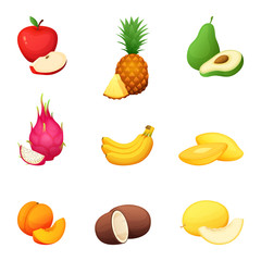 Fruit set. Cartoon vector illustration of colorful design fresh farm harvest.