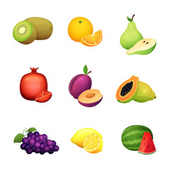 Fruit set. Cartoon vector illustration of colorful design fresh farm harvest.