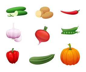 Cartoon illustration of healthy farm vegetables. Collection of elements for your design. Vector Icons for signage, menus, banners and sections