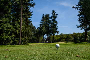 Golf ball and tee on the tee box with people on the green, sand traps, trees and sky in the background
