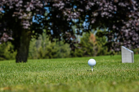 Side view of golf ball, tee, and tee box marker on the tee with deciduous tree in the background
