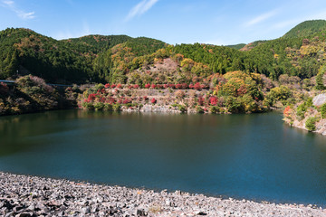 箕面川周辺の風景