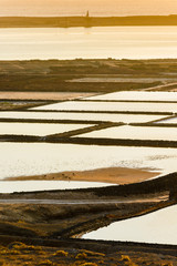 Salinas de janubio at sunset. Lanzarote. Canary Islands. Spain