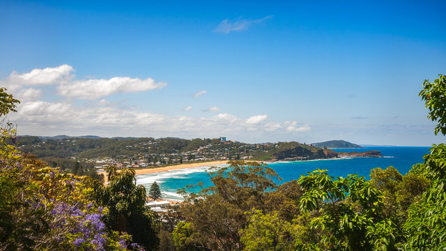 Avoca Beach -View from above in between trees on a beautiful sunny day on the Central Coast, NSW, Australia.