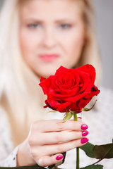 woman holding red rose in hand
