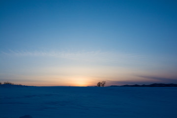 Fototapeta na wymiar 冬の夕暮れの空と冬木立