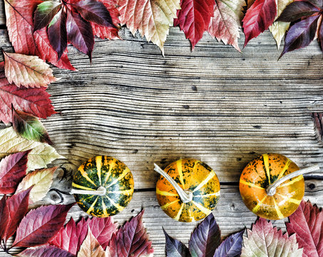 Concept: Thanksgiving. Frame of autumn bright leaves and decorative pumpkins. Free space for text. Top view.