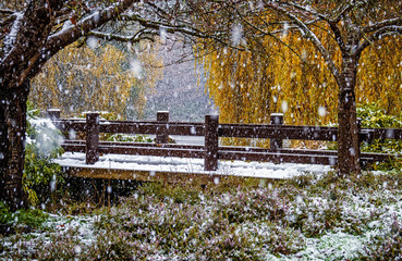 Snowfall in the city