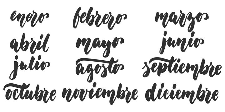 Los meses - months in spanish, hand drawn latin lettering quote isolated on the white background. Fun brush ink inscription for greeting card or poster design.