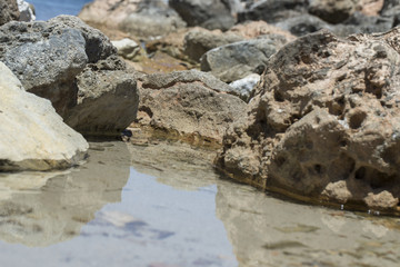 Seichtes Wasser am Ufer mit Flesbrocken