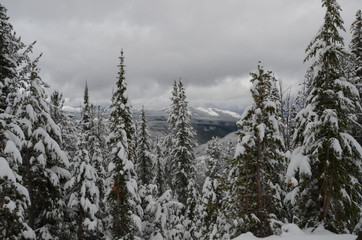 Christmas is coming soon