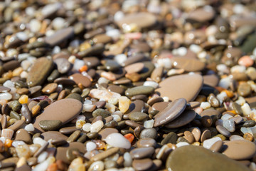 Sea stones on the seashore in the summer