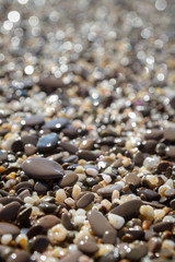 Sea stones on the seashore in the summer