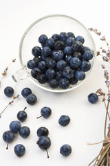Blueberries in a glass cup with bouqet of lavender. Healthy food. Close up. White background